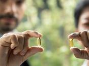 CANNABIDIOL prometteur pour sevrage tabagique