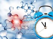 HORLOGE BIOLOGIQUE elle déréglait avec l’âge