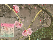 Galerie Taménaga exposition Kyosuke Tchinai partir Mars 2023.