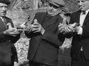 L'oiseau prolétaire, extrait livre Marielle Macé, pluie d'oiseaux