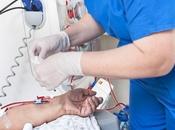 INSUFFISANCE RÉNALE Régénérer rein malade, bientôt réalité