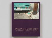 William eggleston mystery ordinary