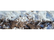 vais-je faire quand s’arrête