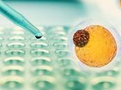 IMMUNOSÉNESCENCE Comment lipomatose vient bout ganglions