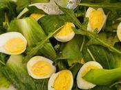 Salade cicorino italien (Grumolo verde)