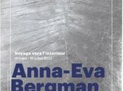Anna-Eva Bergman Musée d'Art Moderne Paris