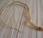 Peau serpent entiere trouvee dans jardin 1998