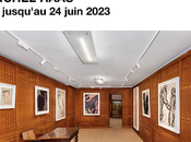 Galerie Dina Verny Michel HAAS jusqu’au Juin 2023.