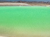 compagnies pétrolières gazières précipitent lithium