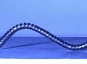 robots magnétiques marchent, rampent nagent Nouvelles