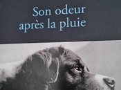 Cédric Sapin-Defour: odeur après pluie
