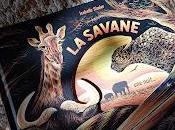 savane, nuit...de Isabelle Simler