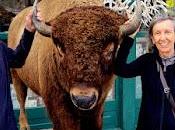 Anniversaires gros chiffres