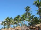 paradis terre porte Punta Cana