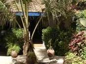 Séjour DAKAR Sénégal